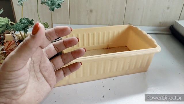 Тороплюсь показать детки бегоний и другие излишки смотреть онлайн