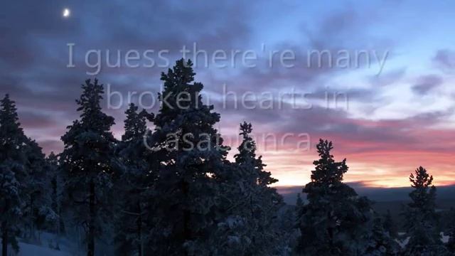 Bertie Higgins - Casablanca Lyrics