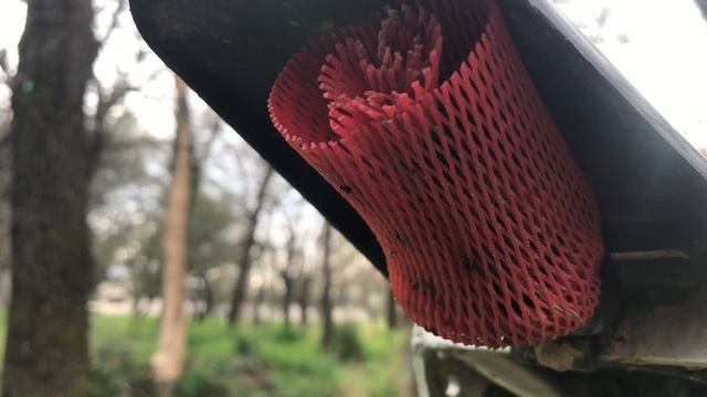 INSANE Electric Bike Walk Around (Detailed) смотреть онлайн