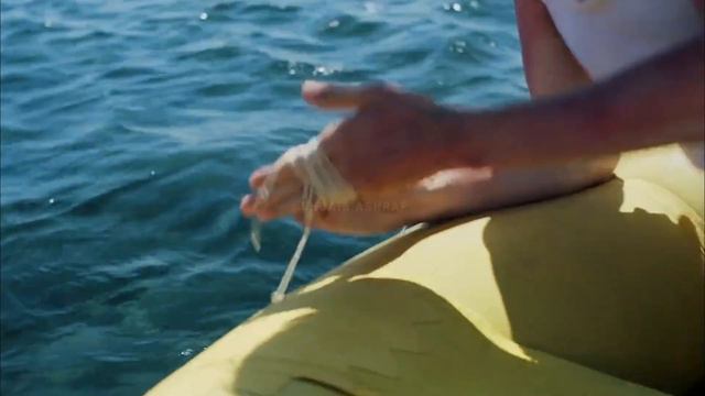 Pilot and Crew Members Survived For 34 Days in Ocean  Movie Explained in Hindi True Survival Stor