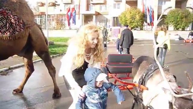 Отрадное верблюд и праздник города