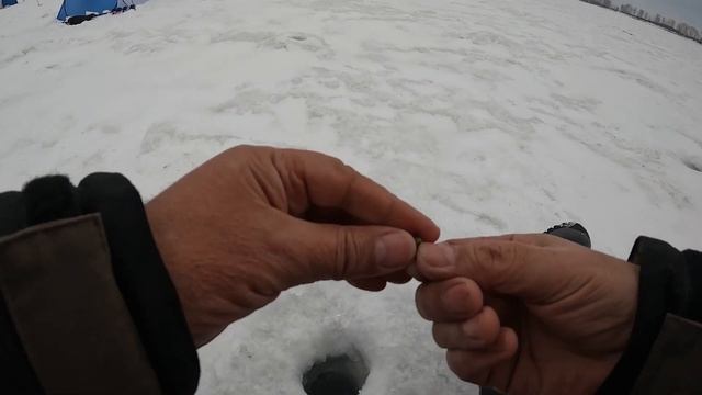На рыбалку с друзьями. Двойной удар по безклёвью. Часть1 смотреть онлайн