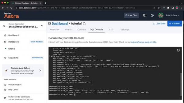 NoSQL vs SQL – Which Type of Database Should You Use_