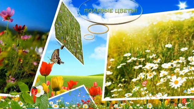 ЛЕТНЕГО НАСТРОЕНИЯ! ПРИГЛАШАЮ ВАС НА ПРИРОДУ! смотреть онлайн