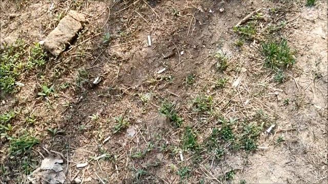 Поиск монет без металлоискателя 79