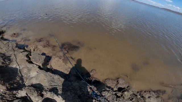 Отличная весенняя рыбалка.(лещ, карась.) смотреть онлайн