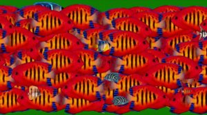 ВИДЕОФОН АКВАРИУМНЫЕ РЫБКИ