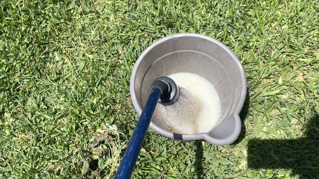 How I Handle Pests & Disease In My Garden 🐛🐛🐛 || Garden Pests || Pest Disease Control In The Garden