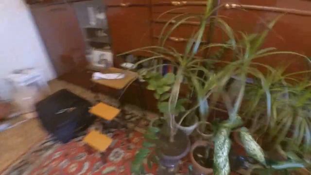 Автополив комнатных растений ч.2 после 20 дней смотреть онлайн