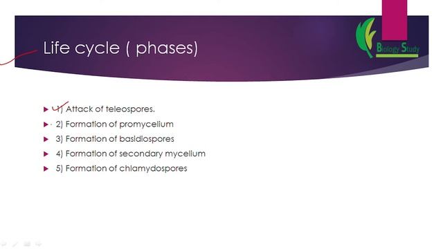 Basidiomycota Botany Chapter 4 Bs first semester #biology_study смотреть онлайн