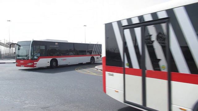 VDL Citea i Mercedes Benz O530 Citaro LE MÜ Facelift - RTA Dubai смотреть онлайн