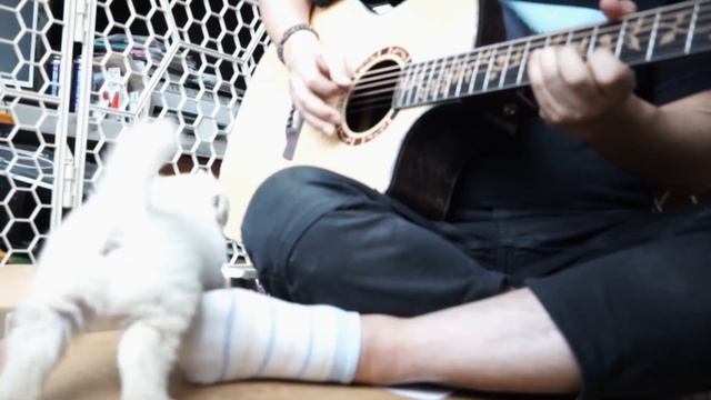 Ava Max - Who's Laughing Now ( Guitar Cover ) смотреть онлайн