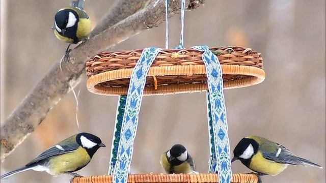 Виртуальный час экологии "Синичкин день". Библиотека-филиал №7 смотреть онлайн