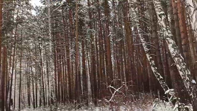 ПРОГУЛКА ПО ЛЕСУ И ДАЧЕ 20г#158 смотреть онлайн