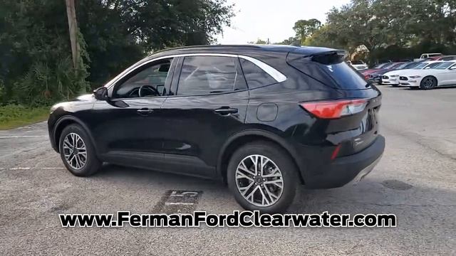 NEW 2020 FORD ESCAPE SEL FWD at Ferman Ford Clearwater (NEW) #20F1281 смотреть онлайн
