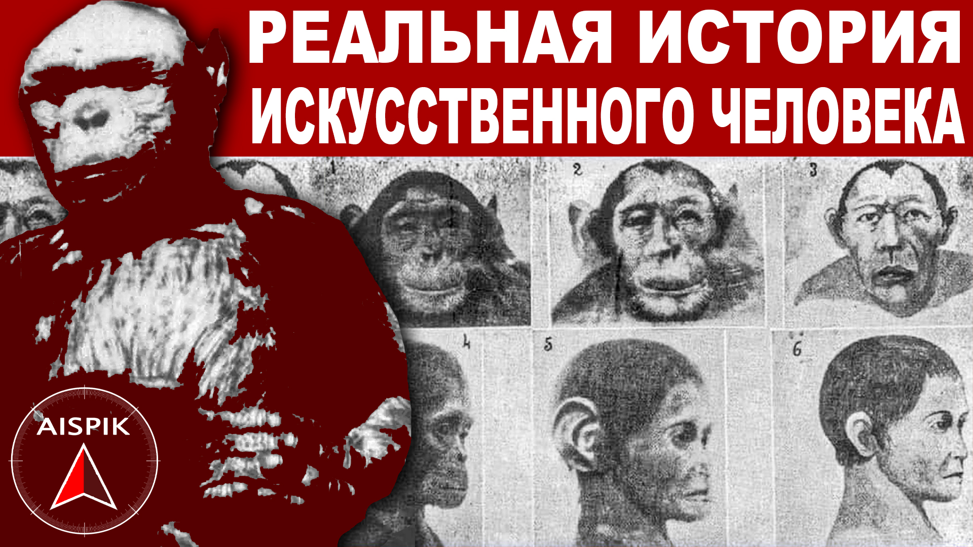 Вот что раньше ТВОРИЛИ с ОБЕЗЬЯНАМИ из лесов! ЗАНА смотреть онлайн