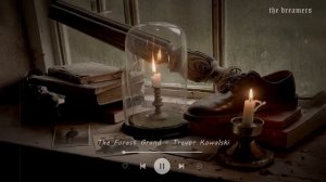 a classical music for reading, writing and studying ✒️?☕✨