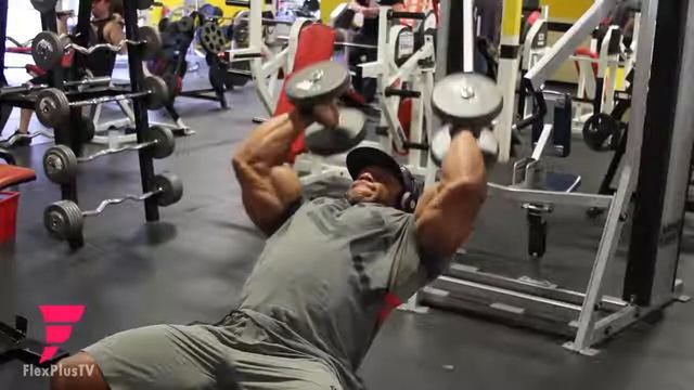 Phil Heath's Ultimate Arms triceps Workouts Training Tips road to mr olympia смотреть онлайн