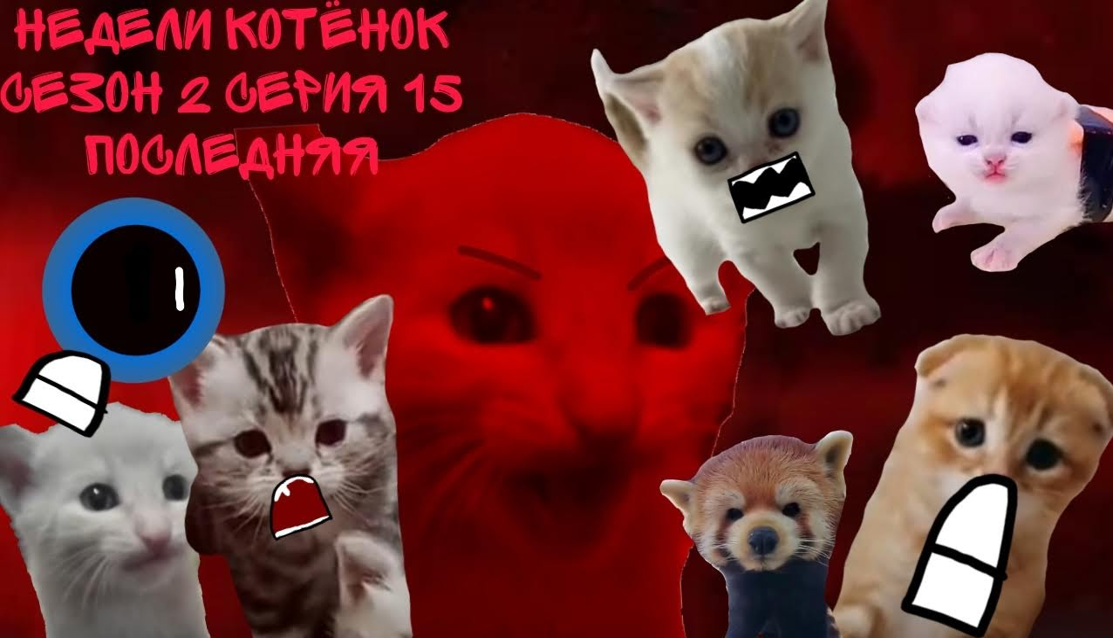 Недели котёнок сезон 2 серия 15 Последняя смотреть онлайн
