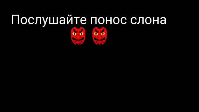 хамуд Хабиби видео