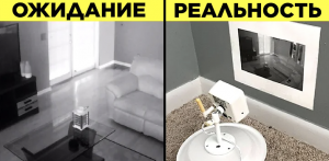 Гении, Которые Обманули Систему