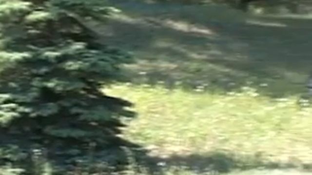 Димитровград должен зацвести смотреть онлайн