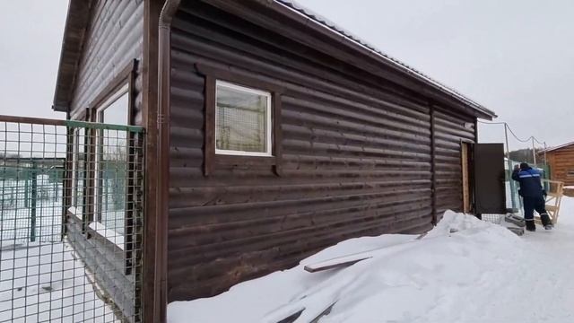 У африканских страусов из Ярославского зоопарка появился новый дом смотреть онлайн