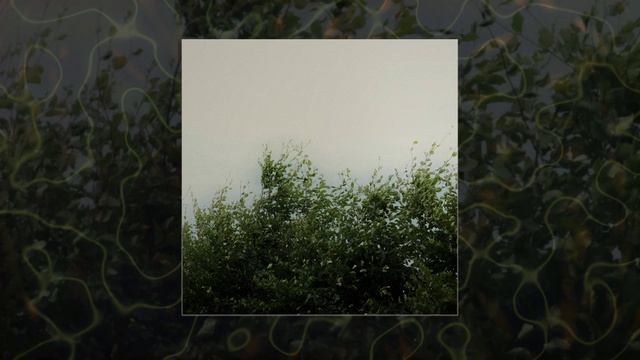 Djjxxl - Troubles (Официальная премьера трека)