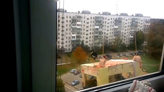 Синички на кормушке: бои за сало смотреть онлайн