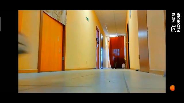 моноколесо GOTWAY MCM4 смотреть онлайн