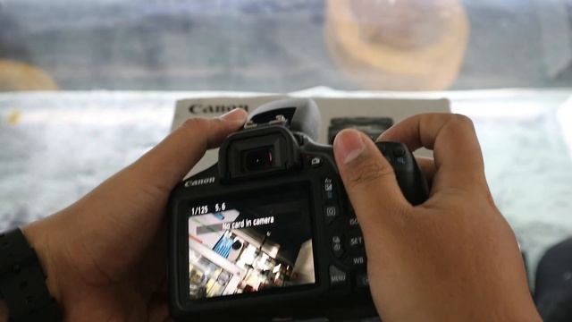 [SOLD] CANON 1300D KIT 18-55 IS II WIFI смотреть онлайн