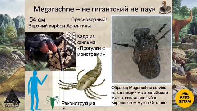Занятие "Эра гигантских насекомых и не только" кружка "Динозавры и не только" с Ярославом Поповым смотреть онлайн