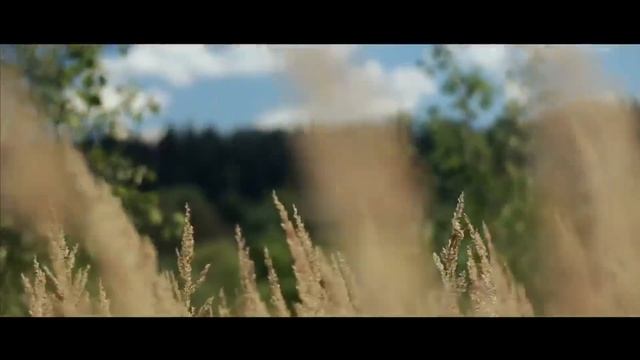 Поздравление Николаю Александровичу Попову с рождением внучки ! смотреть онлайн