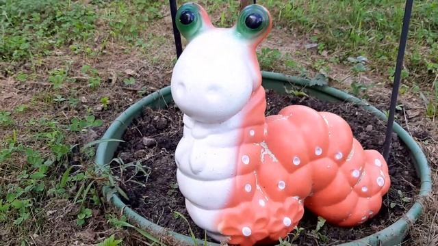 Милые терапевтические сказки / Моя дачная жизнь / Обитатели дачи / Мадам Гусеничка / Первая серия