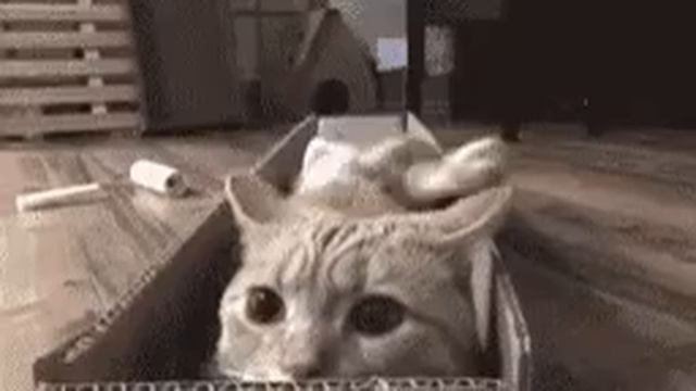 Неспокойный пассажир смотреть онлайн