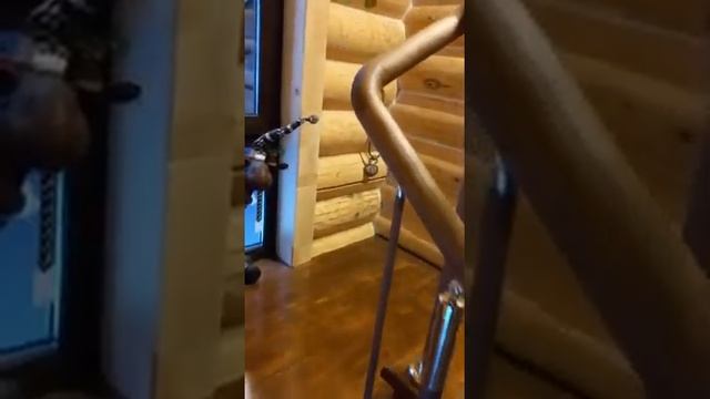 Перила для лестницы в частном доме Деревянные с вертикальным заполнением. смотреть онлайн