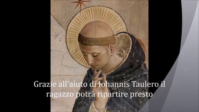 Il Bimbo e la Quercia смотреть онлайн