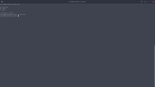 Raylib on Linux смотреть онлайн