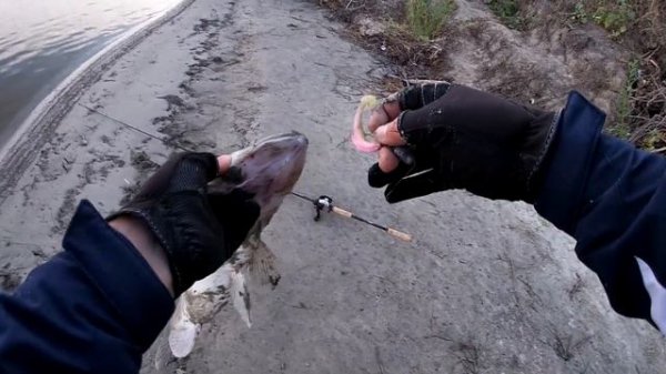 Бейткастинг Jig поролон, силикон keitech! р. Дон! БОНУС! Рыбалка 2021.