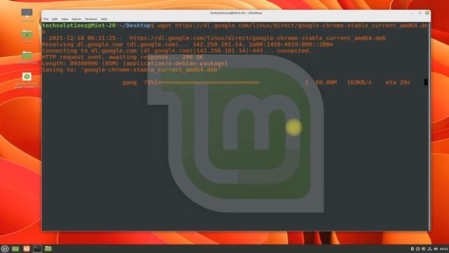 How to Install Chrome Browser on Linux Mint 20.3 | Linux Mint 20.3 Chrome Browser Install смотреть онлайн