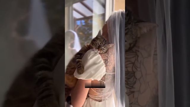 Задача: не заплакай... Это так мило^^ смотреть онлайн