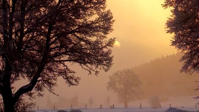 CSNY--Long Time Gone смотреть онлайн