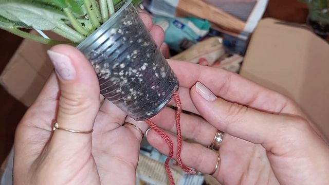 Распаковка ФИАЛОЧКИ