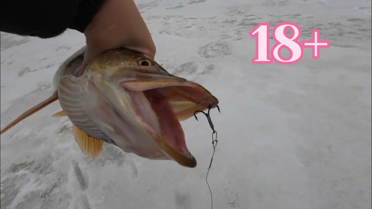 18+ ЭТО ЗАКРЫТИЕ Я ЗАПОМНЮ НА ДОЛГО!!! #рыбалка #щука #fishing #pike #pikefishing