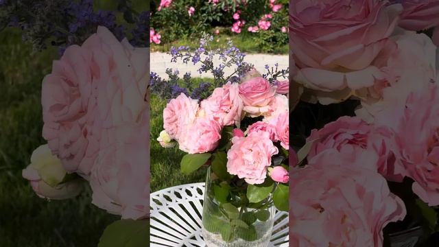 Моя любимая дача. Всё сажала своими руками . 23 г смотреть онлайн