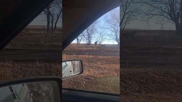 Тренировка Алабаев смотреть онлайн