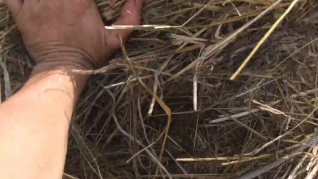 Подъем рулона сена на чердак сарая смотреть онлайн