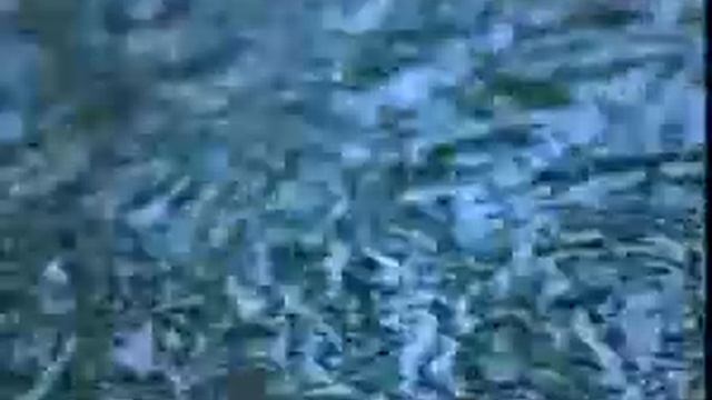 سوزان تميم " يصعب عليا " نسخة نادرة ... Suzan Tamin in a rare version of the video clip titled - y смотреть онлайн