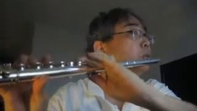 Haydn symphony No. 7 - 3rd movement (La Midi) - Flute by Won Shik Paik смотреть онлайн