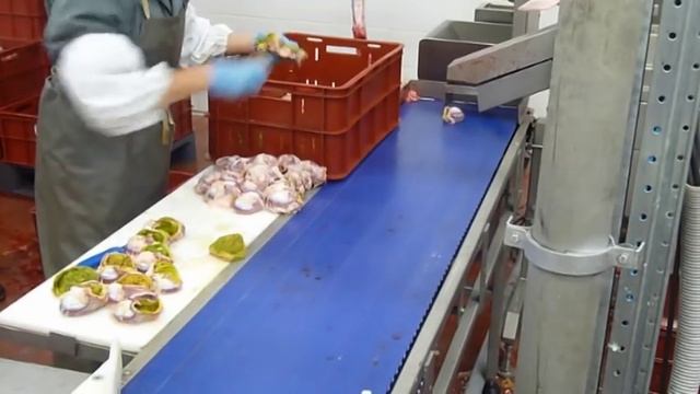 убой 1000 индеек в час смотреть онлайн